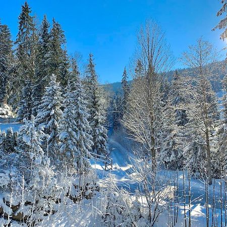 Haus Widmann Lägenhet Scheffau am Wilden Kaiser Exteriör bild