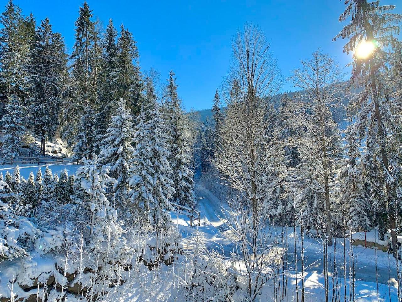Haus Widmann Lägenhet Scheffau am Wilden Kaiser Exteriör bild